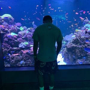 Meet your Posher, Jakee